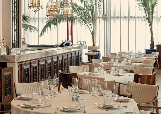 sancrea highlights (8)