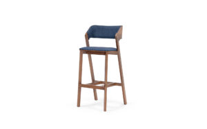 Tony Barstool